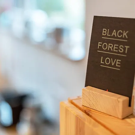 Kleines Glück Apartment Friesenheim (Baden-Wurttemberg)